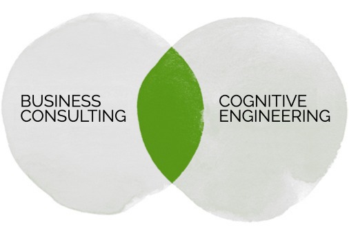 Schema Business Consulting and Cognitive Engineering